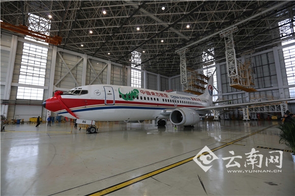 搏击长空三十载 中国第一个737 300机队正式退出现役—美国退役飞机公司