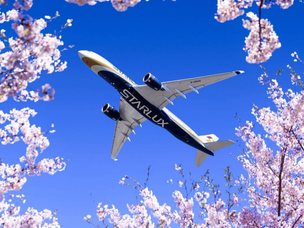 空客A330-美国退役飞机公司